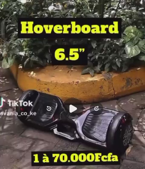 Hoverboard, certifié , moteur à double moyeu, charge 3h à 5h , utilisation 30mn à 60mn , poids jusqu'à 200kg , un chargeur d'alimentation, musique et Bluetooth connecté.
